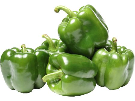 青椒 - 青椒 - GREEN BELL PEPPER 1.2-1.6lb Fashion