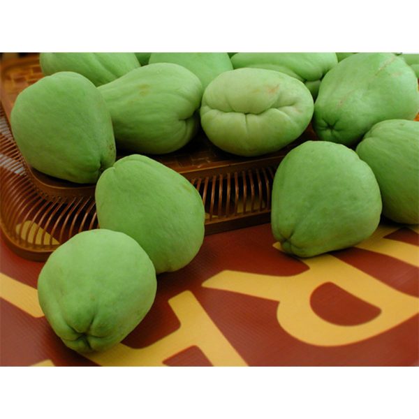 【限時秒殺】合掌瓜 - 佛手瓜 - CHAYOTE 2.8-3.2lb Online