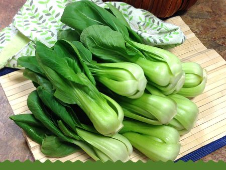 青江菜苗 - 上海苗 - BABY BOK CHOY MUI 1.6-1.8LB Fashion