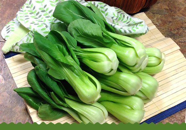 青江菜苗 - 上海苗 - BABY BOK CHOY MUI 1.6-1.8LB Fashion