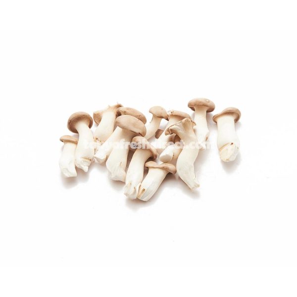 Mini Eryngii Mushroom Online Sale