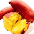 【限時秒殺】板栗番薯 - 板栗番薯 - CHESTNUTS YAM 2.8-3.2LB on Sale