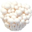 白玉菇 - 白玉菇 - WHITE BEECH MUSHROOM 150g Cheap