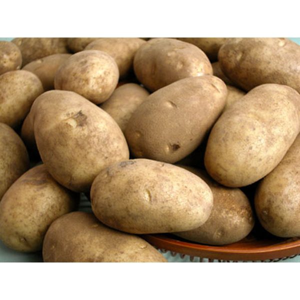 馬鈴薯 - 土豆 - POTATO 2.4-2.6 lb Sale