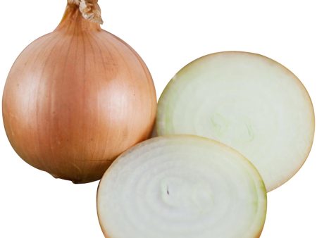 黃洋蔥 - 黄洋葱 - BROWN ONION 1.9-2.1 lb Hot on Sale