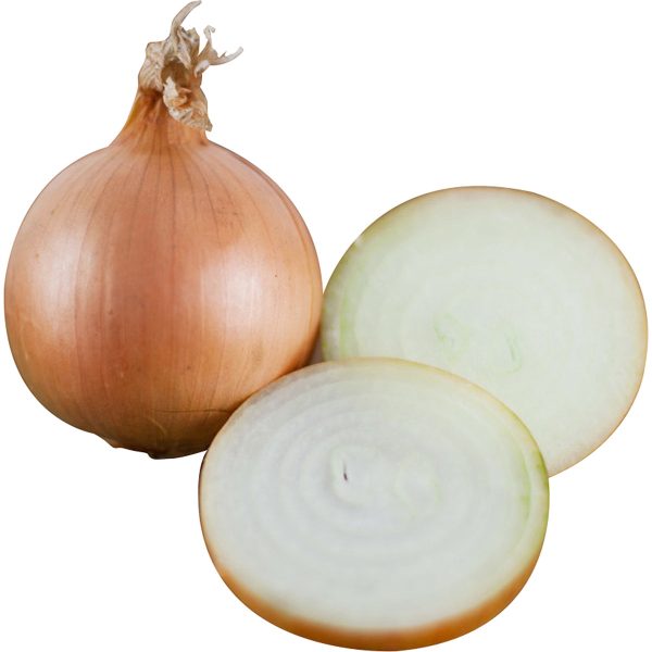 黃洋蔥 - 黄洋葱 - BROWN ONION 1.9-2.1 lb Hot on Sale