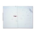 TRAILS by Takashi Homma [SIGNED] Online Sale